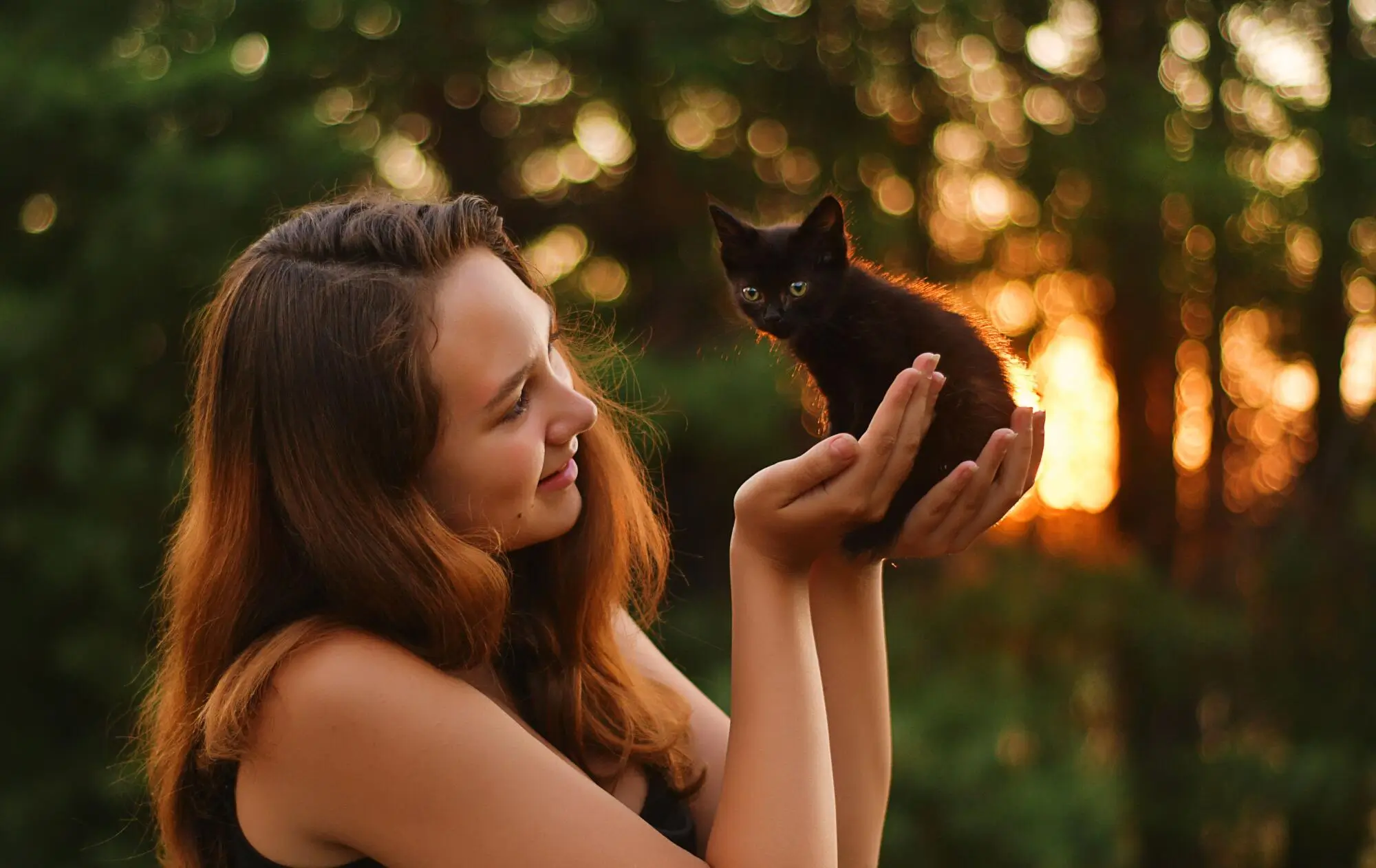 How HOAs in South Jordan, UT Keep Pets in a Community Happy